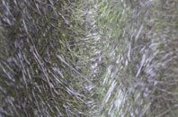 Cats Edge fibreglass roof work