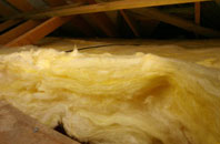 Cats Edge pitch roof insulation